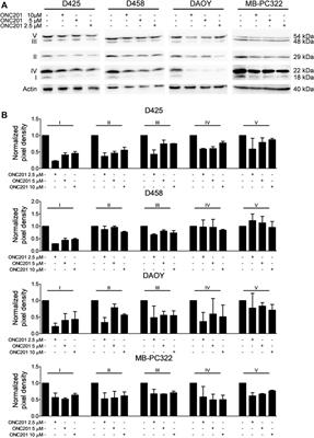 ONC201/TIC10 Is Empowered by 2-Deoxyglucose and Causes Metabolic Reprogramming in Medulloblastoma Cells in Vitro Independent of C-Myc Expression